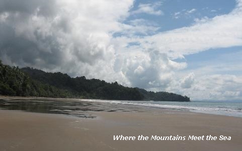 Where the Mountains Meet the Sea