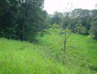 resale 26 acres 226 