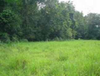 resale 26 acres 1