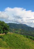 Mountains