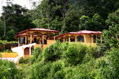Custom Home