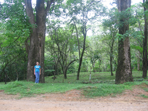 Tres Rios de Coronado