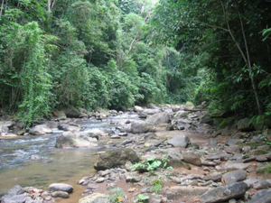 River Lot Costa Rica