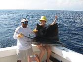 Sailfish