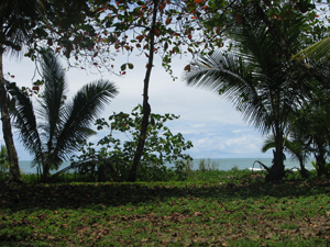 ocean front costa rica lot