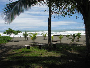 matapalo ocean front lot5