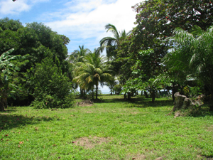 matapalo ocean lot