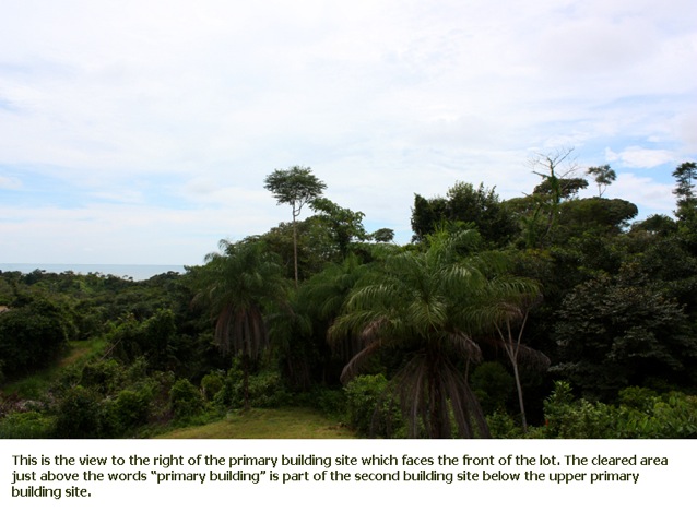 PR rainforest view (2)