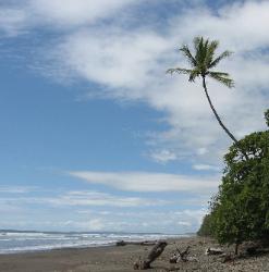 Playa Pinuela