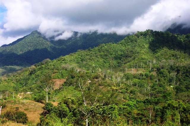 9-12 mountain view Costa Rica real estate