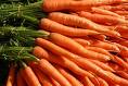 fresh carrots