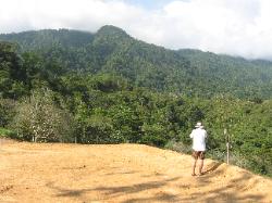 Los Brisas Mountain View