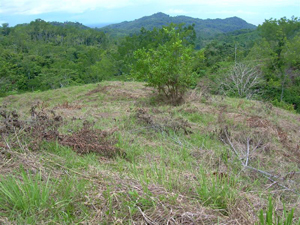phase 9 lot 61 