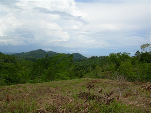 lot 61 in phase 9 ocean view