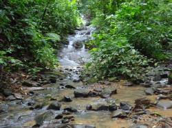 phase 4b lot 7 waterfalllot 