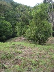 NE to SE property line