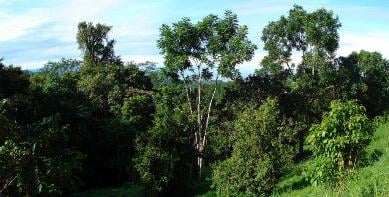 Phase 4b lot 7 ocean view
