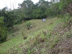 Northern property line