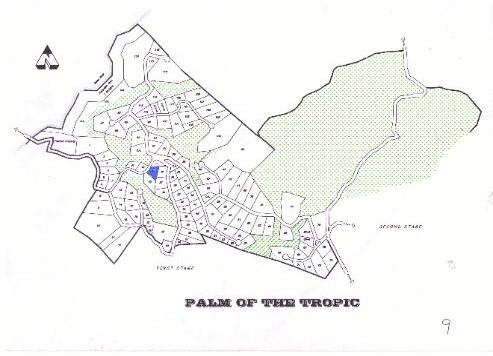 Phase 9 lot 39