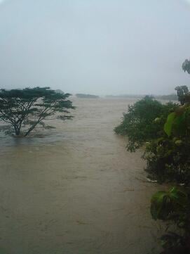 Terraba River Flooding