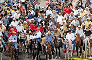 Fiesta de Palmares