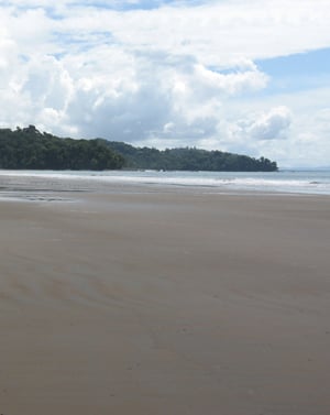 This is playa Ballena at low tide, notice there's not a single stone on the beach