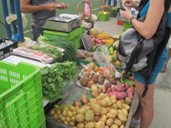 A great Saturday farmers market in Uvita