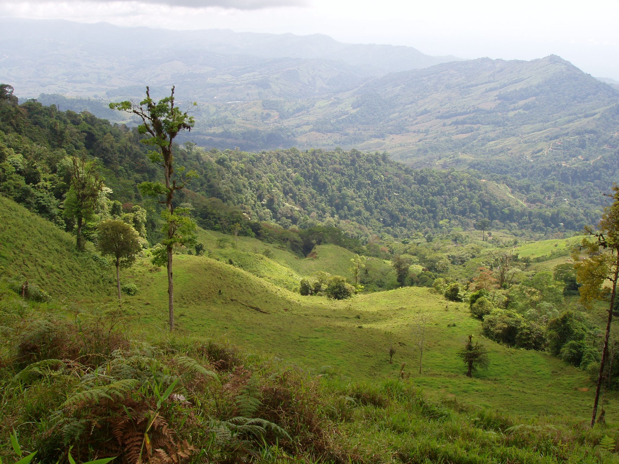 aa Top of Property - Views of Property (Pastures) Below 01
